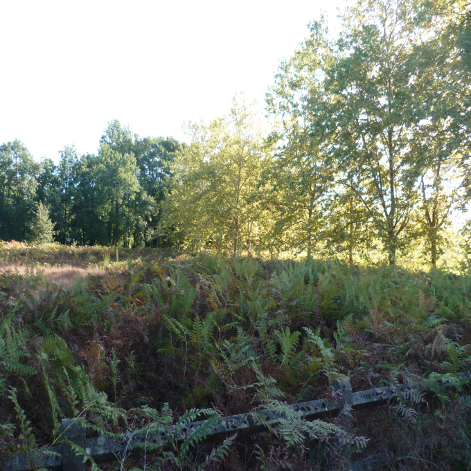 Offres de vente Terrain Bazas (33430)