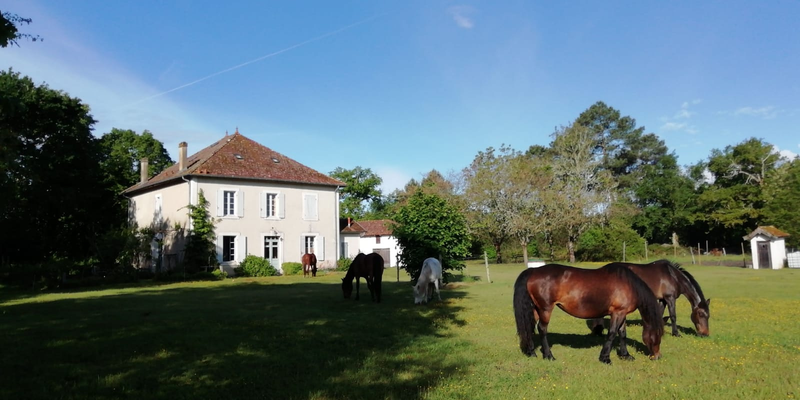 vente PROPRIETE LANDES 5 chambres dépendances airial 1 hectare